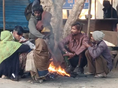 અમરેલી 13.2 ડિગ્રી સાથે ગુજરાતનું સૌથી ઠંડુ શહેર અને અમદાવાદમાં ગુલાબી ઠંડી.