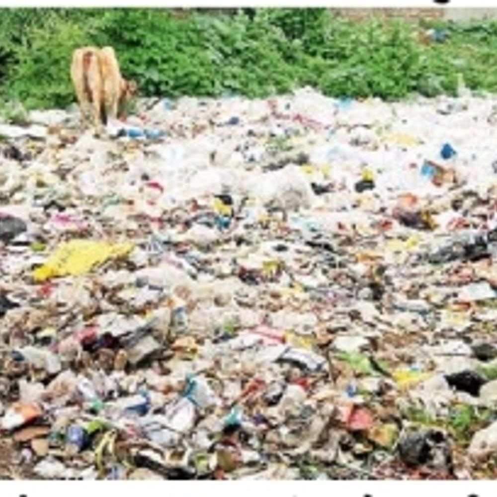 ગંદકીનું સામ્રાજ્ય: વલભીપુરમાં સફાઈના અભાવે ગંદકીનું સામ્રાજ્ય ફેલાયું. લોકો તાત્કાલિક સફાઈની માંગ કરી રહ્યા છે.