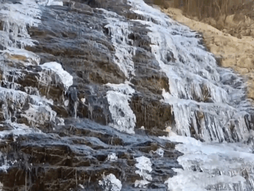 બદ્રીનાથમાં -16 ડિગ્રી, ઝરણું-તળાવ થીજ્યા; MP-છત્તીસગઢમાં કોલ્ડવેવ, રાજસ્થાન, હિમાચલ અને પંજાબમાં પારો 10 ડિગ્રીથી નીચે.