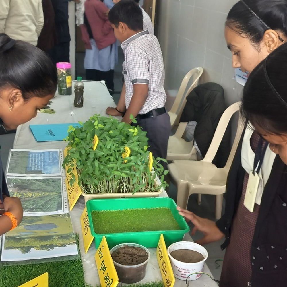 બોટાદમાં બ્લોક કક્ષાનું બાળ વૈજ્ઞાનિક પ્રદર્શન યોજાયું જેમાં 100 બાળવૈજ્ઞાનિકોએ ગણિત-વિજ્ઞાનના પ્રોજેક્ટ રજૂ કર્યા.