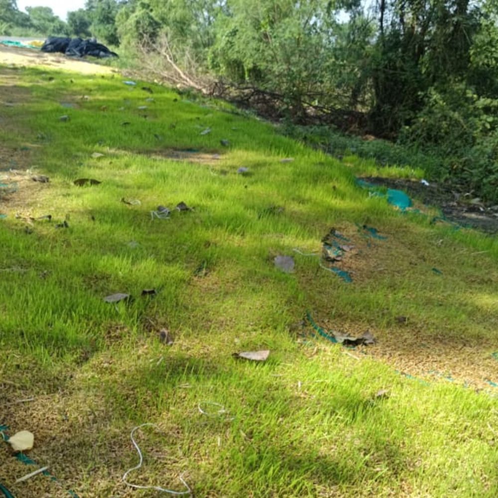 ભરૂચના 7000 ખેડૂતોને પાક નુકસાનીના પેકેજમાંથી 24 કરોડ મળ્યા