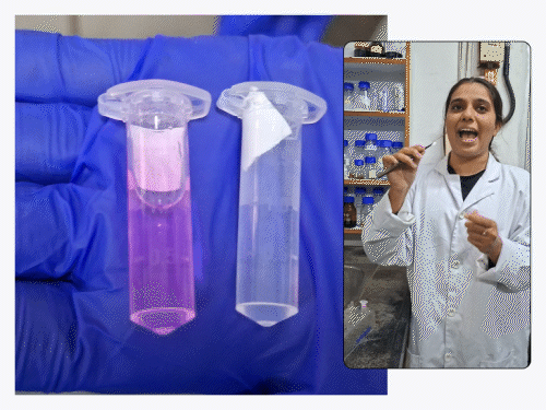 ભાવનગરના વૈજ્ઞાનિકોની કમાલ: ₹3000નો યુરિન ઇન્ફેક્શન ટેસ્ટ હવે ₹15માં, રિપોર્ટ 9 કલાકમાં!