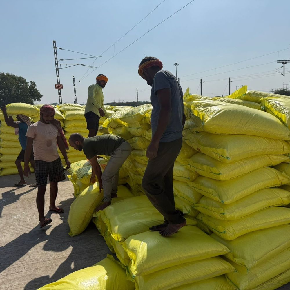 જામનગરમાં રવિ સીઝન માટે 4200 ટન યુરિયા ઉપલબ્ધ, ખેડૂતોને અફવાઓથી દૂર રહેવા ખેતીવાડી વિભાગની અપીલ.