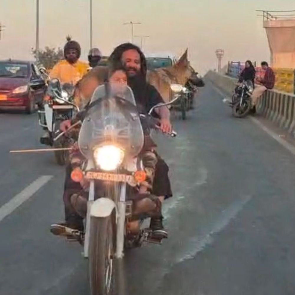 વડોદરામાં શ્વાનો માટે રેમ્પ વોક અને બાઈક રેલીનું આયોજન, શ્વાનો પર થતા અત્યાચાર બંધ કરવાનો સંદેશ.