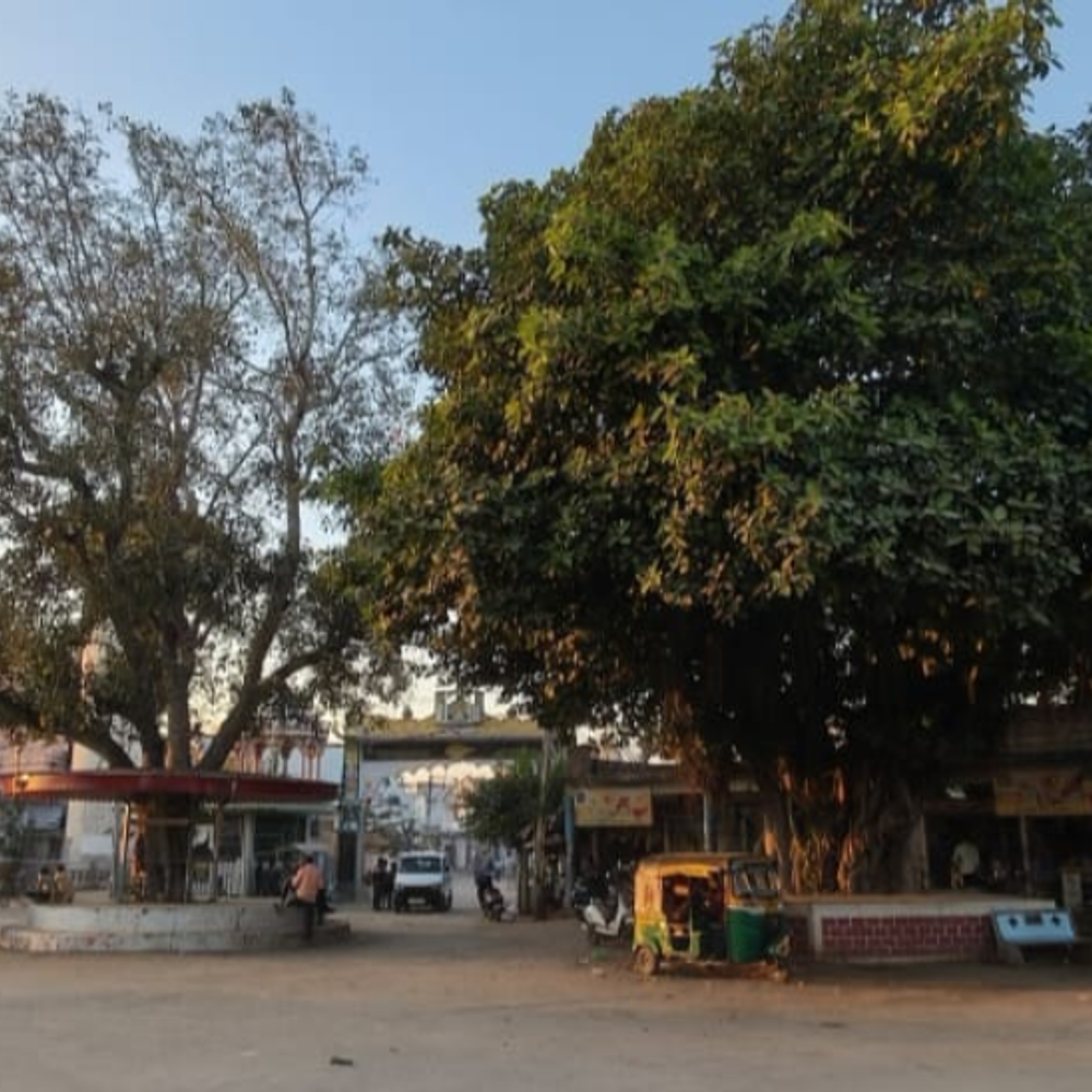 સાલડી સ્કૂલની ચાર ગામના વિદ્યાર્થીઓ માટે FREE બસસેવા: ગામમાં શિક્ષણ, આધુનિક સુવિધાઓ અને પીંપળેશ્વર મહાદેવ આસ્થાનું કેન્દ્ર.