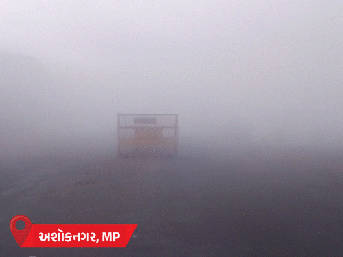 MPમાં ગાઢ ધુમ્મસ, UPમાં અકસ્માતો, રાજસ્થાનમાં ઠંડી: દેશભરમાં હવામાનની અસર.