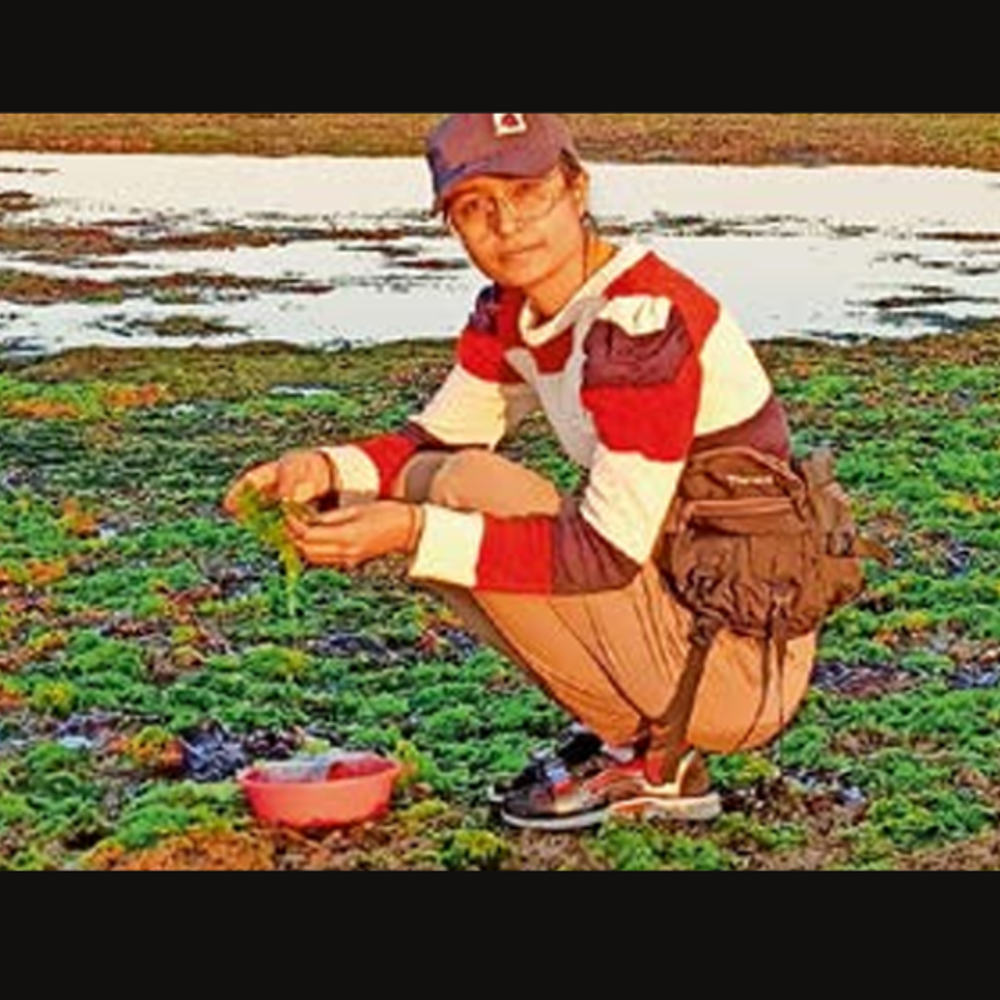 ડૉ. ડિમ્પલે 14 નવી દરિયાઈ પ્રજાતિ શોધી, એકનું નામ કચ્છ પરથી બિબ્લીસ કચ્છેન્સિસ રાખ્યું!.