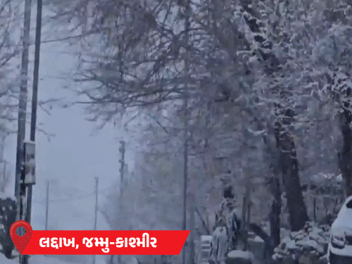 MPના 25 શહેરોમાં 10°Cથી નીચે તાપમાન, રાજસ્થાનના 3 શહેરોમાં 2°Cથી નીચે પારો, યુપીમાં ધુમ્મસ, 50+ ટ્રેનો મોડી.