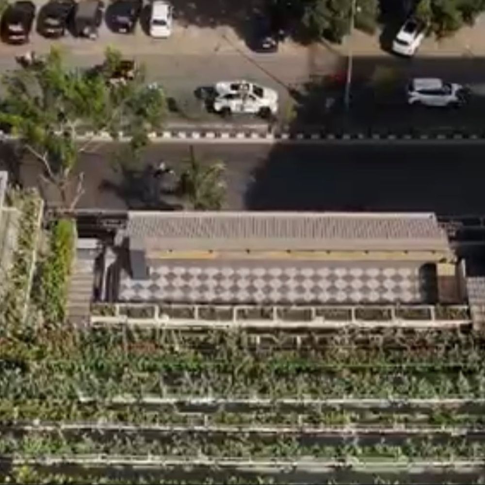 સુરતનું 'મોલ ઇન ગાર્ડન': 6 માળ, 4 લાખ છોડ, જાપાની ફૂલો; કાશ્મીર જેવી 'ફ્લાવર વેલી'!