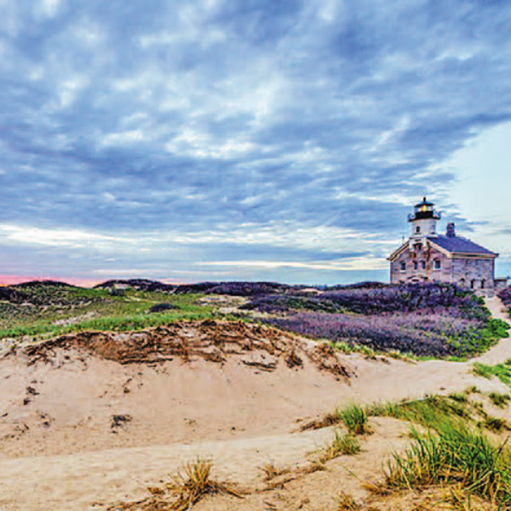 સ્પાઉસ વિઝાની તૈયારી અંગે માહિતી અને ડોક્યુમેન્ટ્સની ચકાસણી.