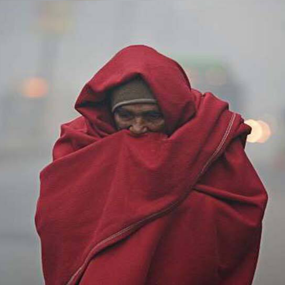 નલિયામાં સૌથી ઠંડુ, 11.4 ડિગ્રી: ઉત્તરના પવનોથી સવાર-સાંજ ઠંડી!