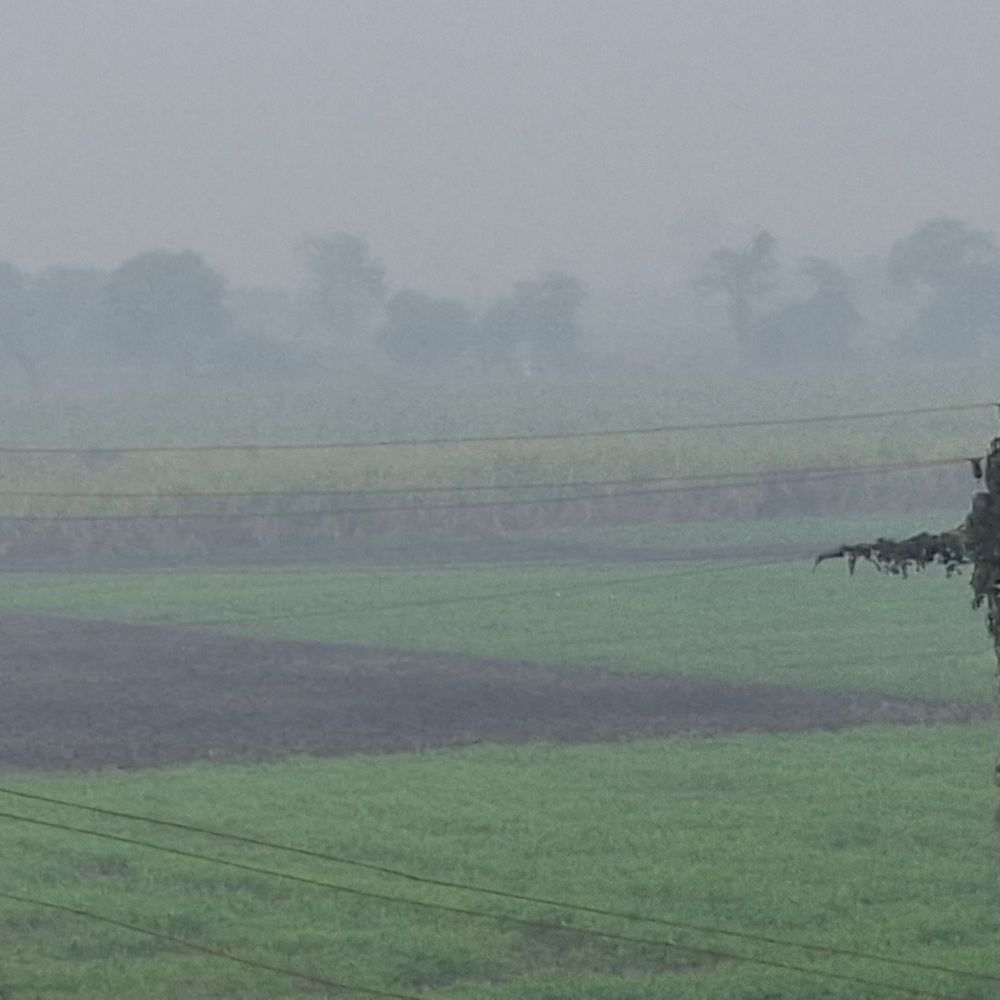 ભરૂચમાં ઠંડીનું આગમન: લઘુત્તમ તાપમાનમાં ઘટાડો, 28 ડિગ્રીમાં લોકો ઠૂઠવાયા.