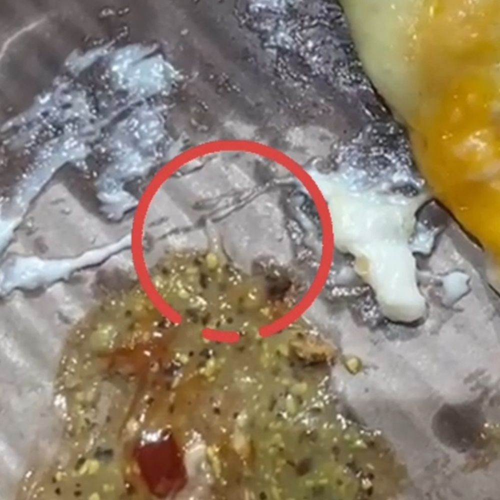 દાહોદના La Pino'z Pizza માંથી ઈયળ નીકળતા ફરિયાદ, નગરપાલિકાએ તપાસ શરૂ કરી.