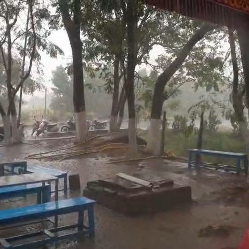 નવસારીમાં નવા વર્ષે કમોસમી વરસાદથી કેરી-ચીકુના પાકને નુકસાનની ભીતિ, ખેડૂતો ચિંતાતુર.