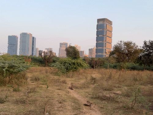 અમિતાભ બચ્ચનની ગુજરાતમાં જમીન: 7 કરોડના 210 કરોડ, GIFT City સામે ભવ્ય બિલ્ડિંગ બનશે.