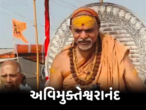 અવિમુક્તેશ્વરાનંદ વસંત પંચમી પર સ્નાન નહીં કરે; રામદેવે Satua Baba સાથે ડૂબકી લગાવી.