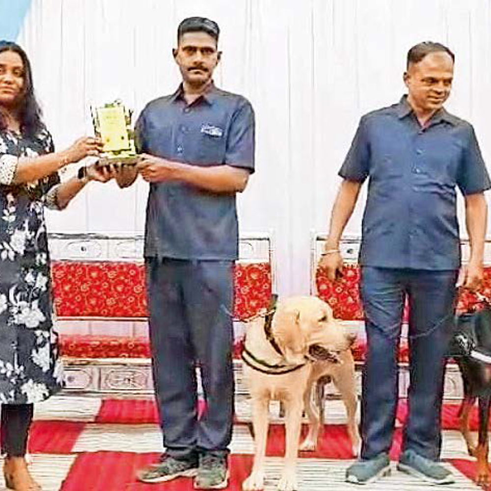 ચિત્રકાર શ્વાનોની કલાકારી: શ્વાનોએ જીભ-પંજાથી Abstract ચિત્રો બનાવ્યા; 150 શ્વાનોએ ભાગ લીધો, પ્રદર્શન યોજાશે.