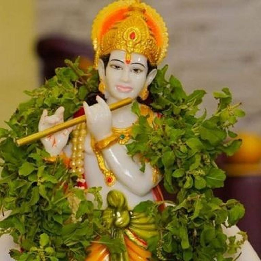 ભીષ્મ એકાદશી ક્યારે છે?: આ દિવસે ભગવાન વિષ્ણુ સાથે તુલસી અને શ્રીકૃષ્ણની પૂજાનું મહત્વ દર્શાવવામાં આવ્યું છે.