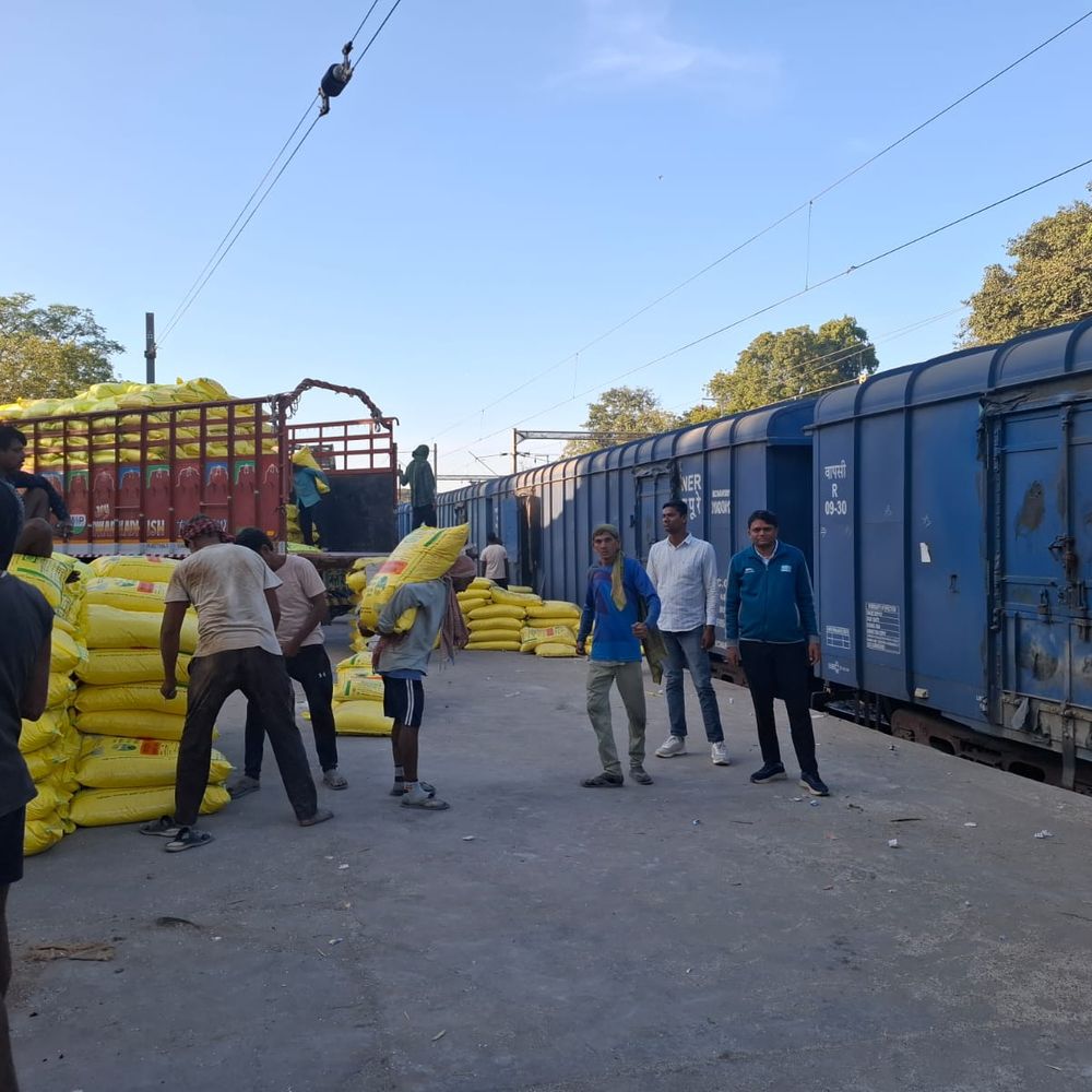 આણંદમાં રવિ સિઝનમાં યુરિયાની જરૂરિયાત સામે 55085 મે.ટન યુરિયા ખાતર ફાળવવામાં આવ્યું.