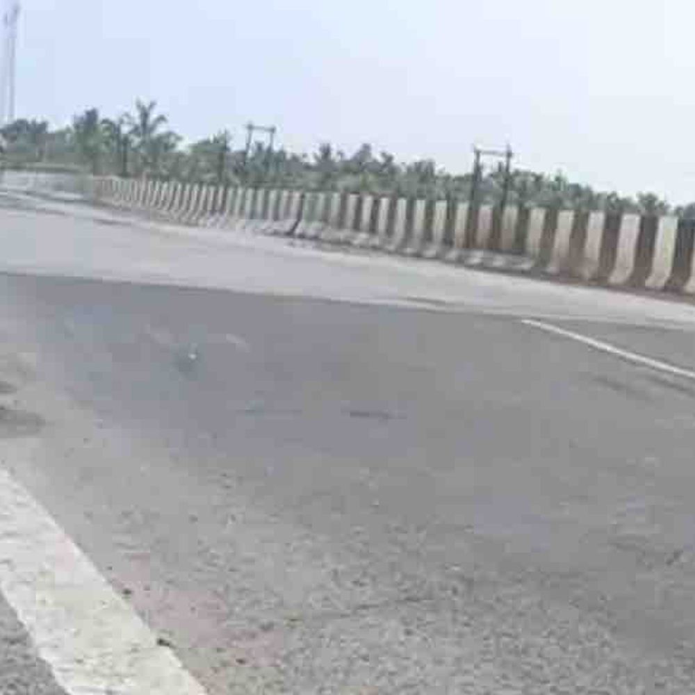 કોસ્ટલ હાઇવે પર સિંહોના અકસ્માતો વધતાં વનવિભાગ એલર્ટ