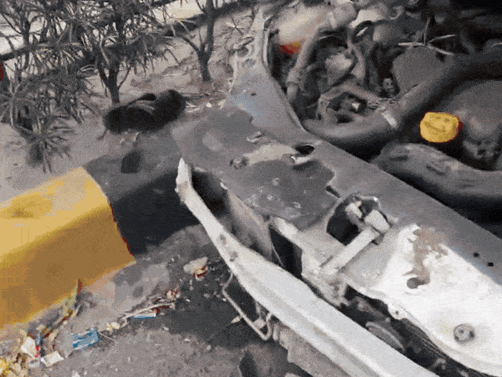 અમદાવાદ: BRTS ટ્રેક પર ગૌવંશ ભરેલી ગાડીનો અકસ્માત, સ્પીડે ડિવાઈડર તોડ્યા, ત્રણ ફરાર, એક ઝડપાયો.