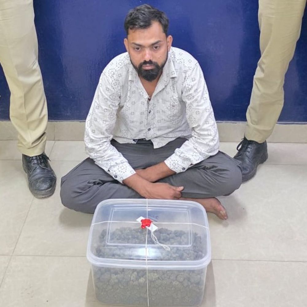 વાપીમાં ₹30.94 લાખનો હાઈબ્રિડ ગાંજો ઝડપાયો