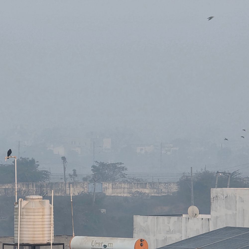 હિંમતનગરમાં વહેલી સવારથી ધુમ્મસ છવાયું