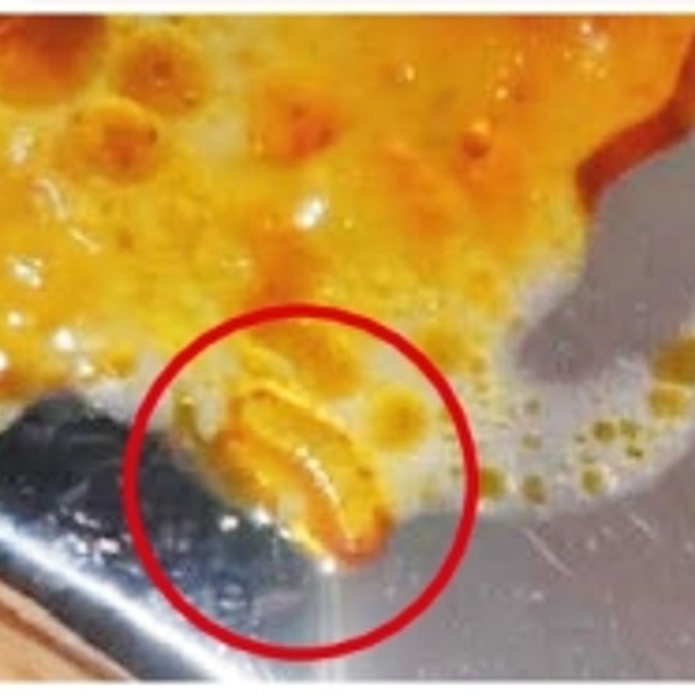 યુનિ.ના મેસમાં ભોજનની ગુણવત્તા બગડતા વિદ્યાર્થીઓ બીમાર, 400માંથી માત્ર 15 જ જમે છે.