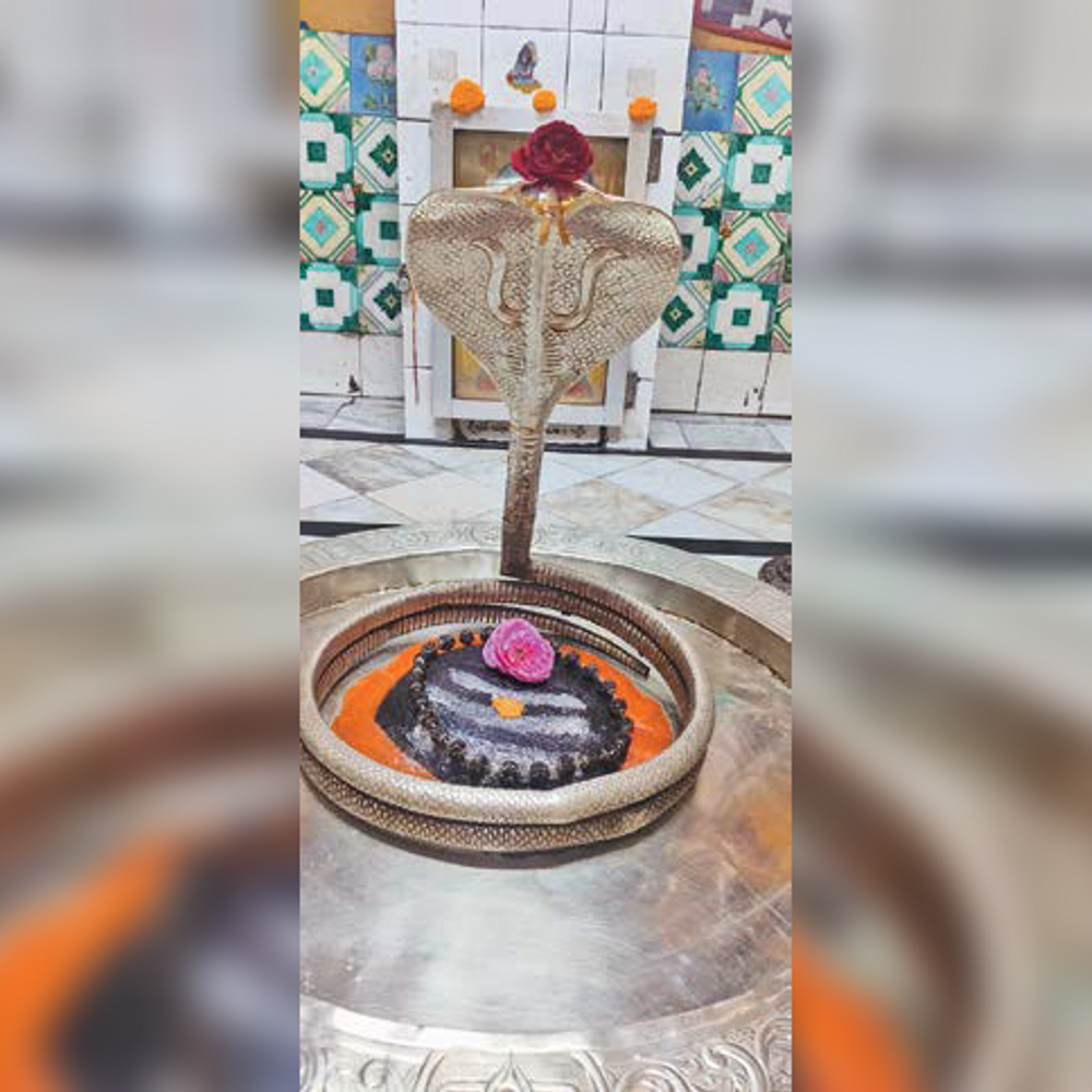 500 વર્ષ જૂનું સ્વયંભૂ રાજરાજેશ્વર મહાદેવ મંદિર: શિવલિંગ પર ગાડું ચલાવતા લોહી નીકળ્યું, પૈડાંના નિશાન હજુ છે.