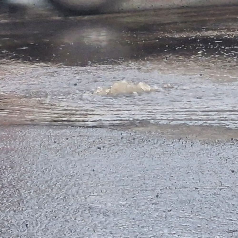 ગોદરેજ ગાર્ડન સિટીમાં પાણીનો વેડફાટ: પાઇપલાઇન તૂટ્યા બાદ પણ AMC અધિકારીઓ નિષ્ક્રિય. લાખો લીટર પાણી વેડફાઈ રહ્યું છે.