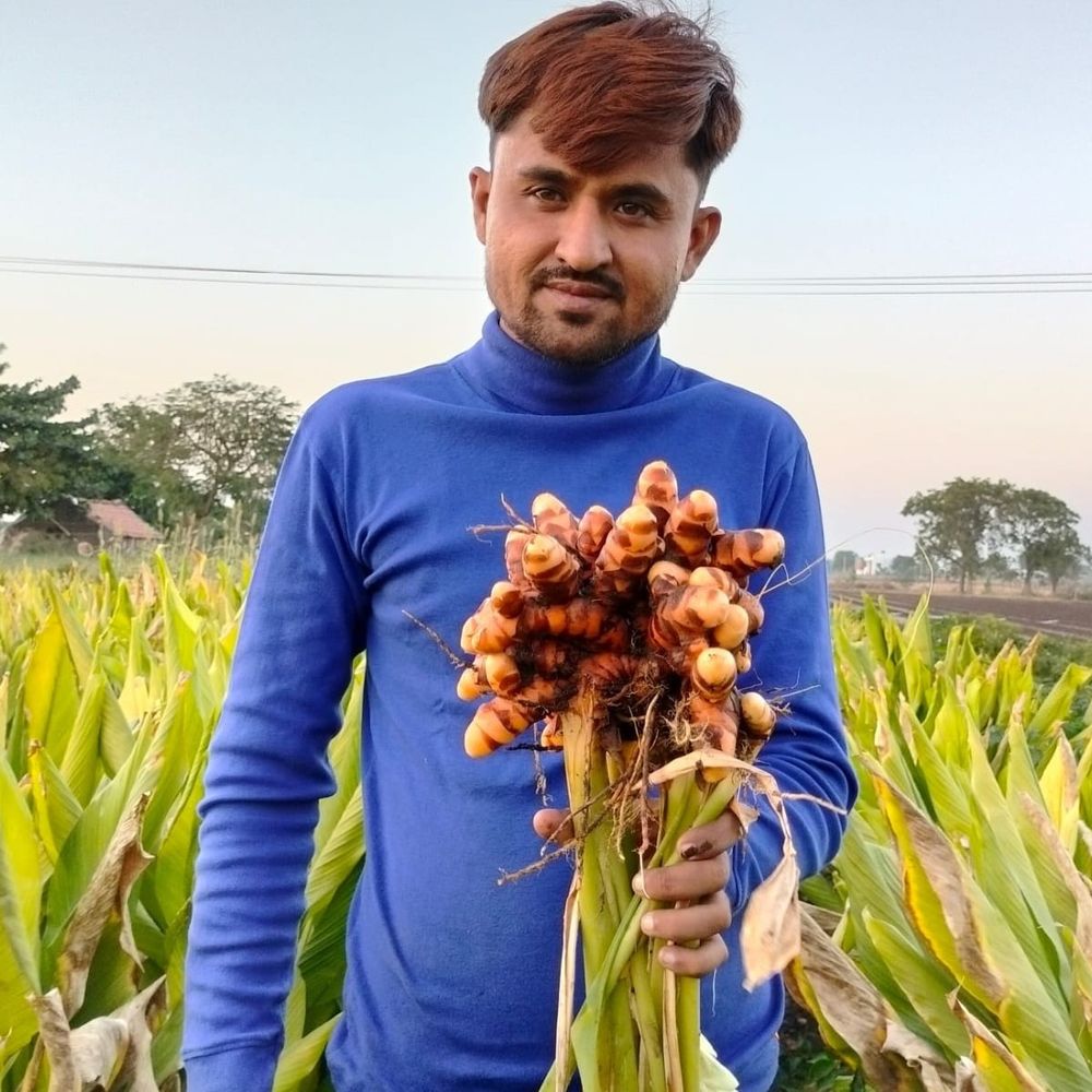 સોશિયલ મીડિયાથી પ્રેરિત જામનગરના ખેડૂતે પ્રાકૃતિક ખેતી અપનાવી હળદરની ખેતીથી સારી આવક મેળવી.