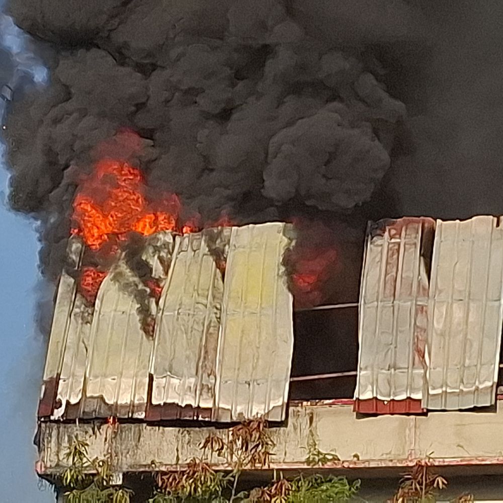 ભરૂચ GIDCમાં તુષાર ટ્રાન્સ કંપનીમાં આગ: ફાયર ટીમોએ તાત્કાલિક પહોંચી આગ પર કાબૂ મેળવ્યો.