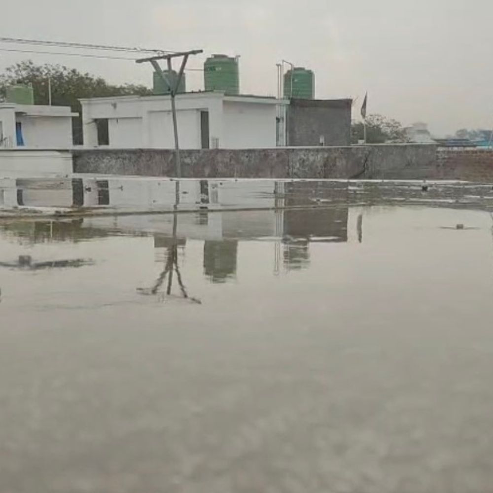 ભરૂચમાં કમોસમી વરસાદ: ખેડૂતો ચિંતિત, કપાસ અને તુવેરના પાકને નુકસાનની આશંકા.