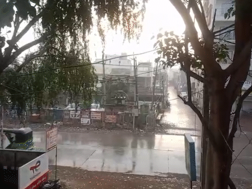 પાંચ જિલ્લામાં યલો એલર્ટ અને ભરૂચમાં માવઠું: વરસાદી ઝાપટાં અને અમદાવાદમાં વાદળછાયું વાતાવરણ.