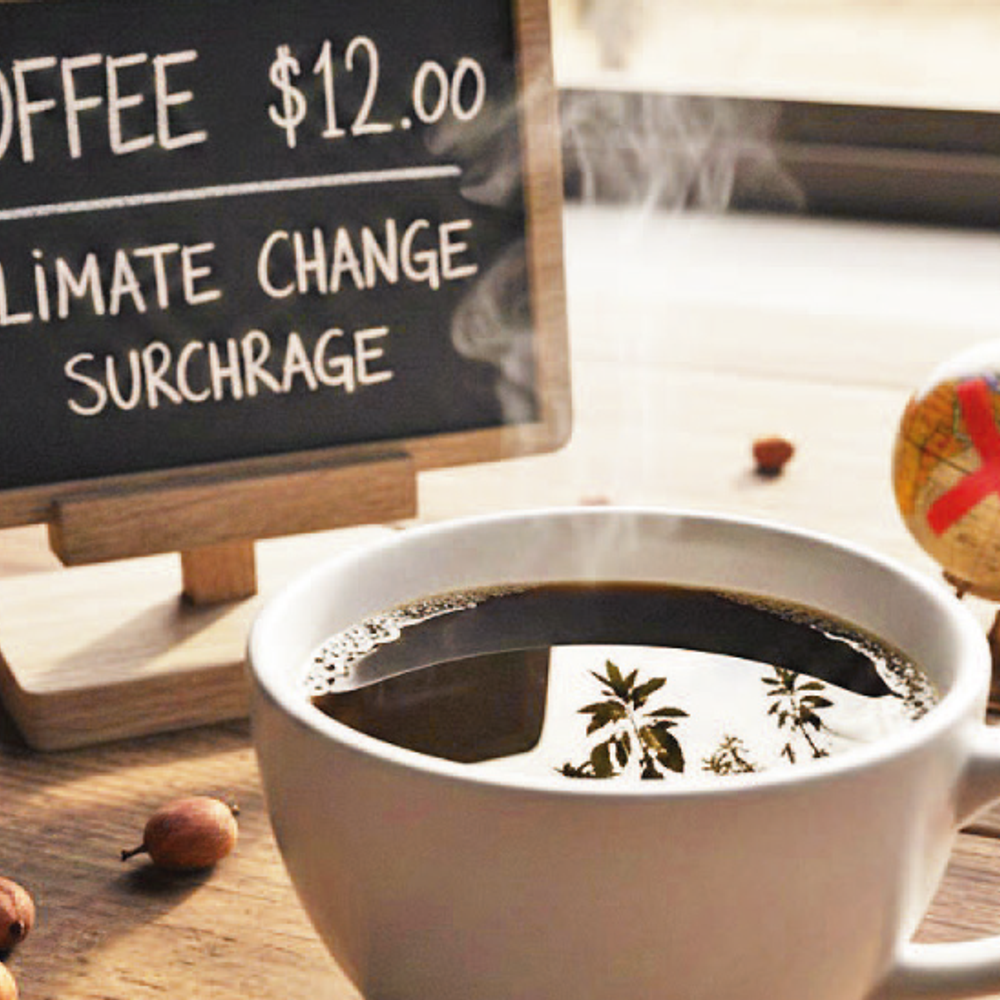 ક્લાઇમેટ ચેન્જની કોફી પર અસર: ભાવ વધારાથી ખેડૂતોની મુશ્કેલી વધી અને ગ્રાહકોના ખિસ્સાં પર ભારણ.