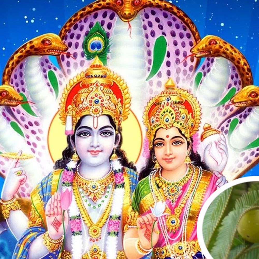 આજે આમલકી એકાદશી: પૂજા, દાન અને શુભ કાર્યો