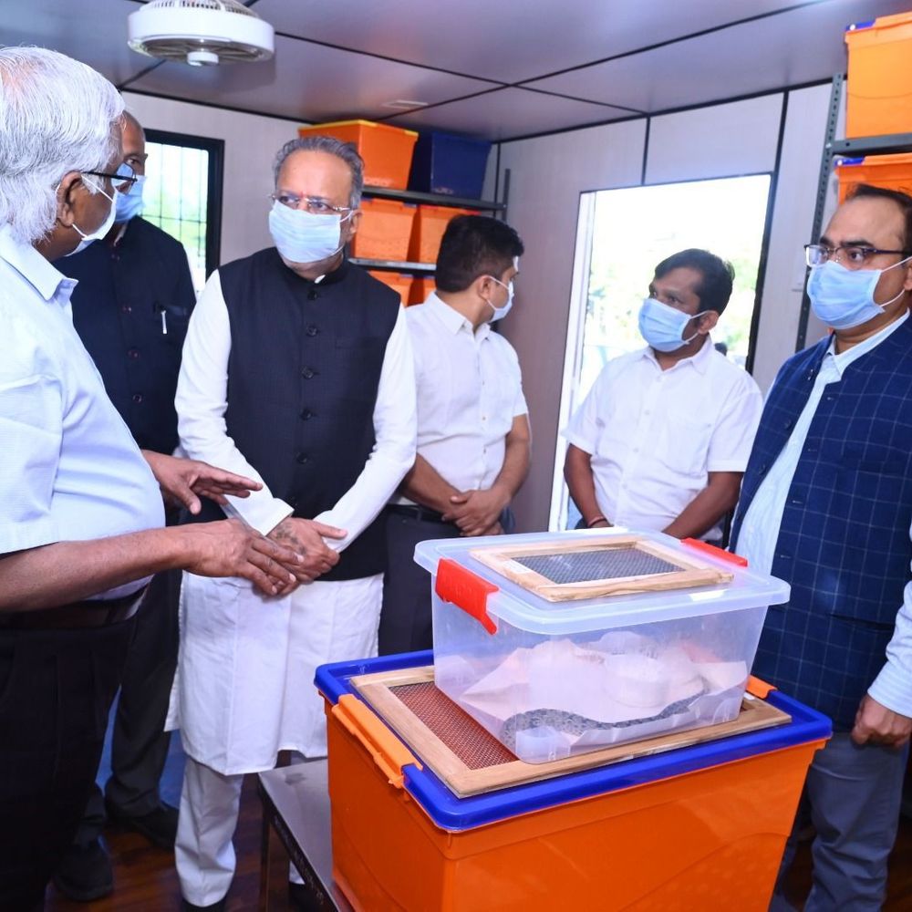 ગુજરાતમાં સ્થાનિક સાપના ઝેરથી એન્ટિવેનમ બનશે: સર્પદંશથી થતાં મૃત્યુ ઘટાડવાની રાજ્ય સરકારની પહેલ.