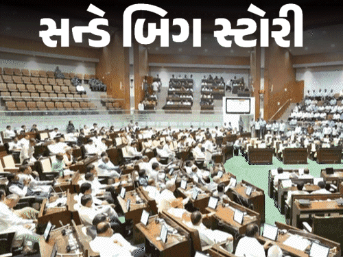 ગાયના રાજકારણે જોર પકડ્યું: VHP આક્રમક, સરકારની ભૂમિકા પર સવાલ; કોંગ્રેસની પૂછપરછ - ગૌમાંસ ક્યાંથી આવે છે?.