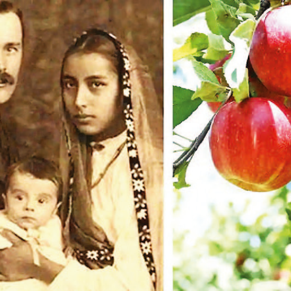 આંતરમનના આટાપાટા: સેમ્યુઅલ સ્ટોક્સે હિમાચલને 'એપલ મેન' તરીકે ઓળખ અપાવી, જેમણે અમેરિકા છોડી ભારતને કર્મભૂમિ બનાવી.