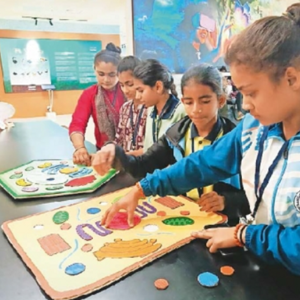 નેશનલ સાયન્સ ડે: રિજીયોનલ સાયન્સ સેન્ટર ભાવનગરમાં 1500 વિદ્યાર્થીઓનો સાયન્સ કાર્નિવલમાં ઉત્સાહપૂર્ણ ભાગ લીધો.