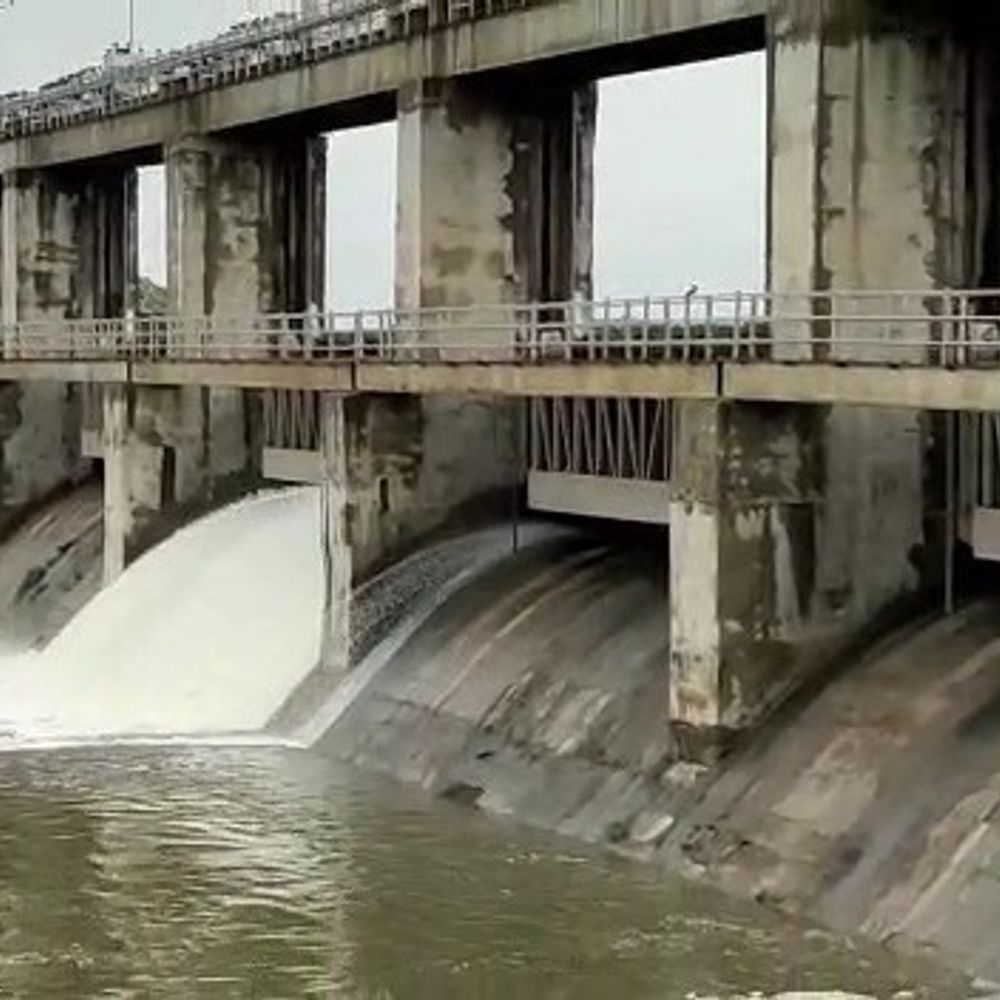 લીંબાળી ડેમનો દરવાજો 0.30 મીટર ખોલાયો; ઘેલો નદીમાં પાણી છોડાતા ગામોને એલર્ટ કરાયા.