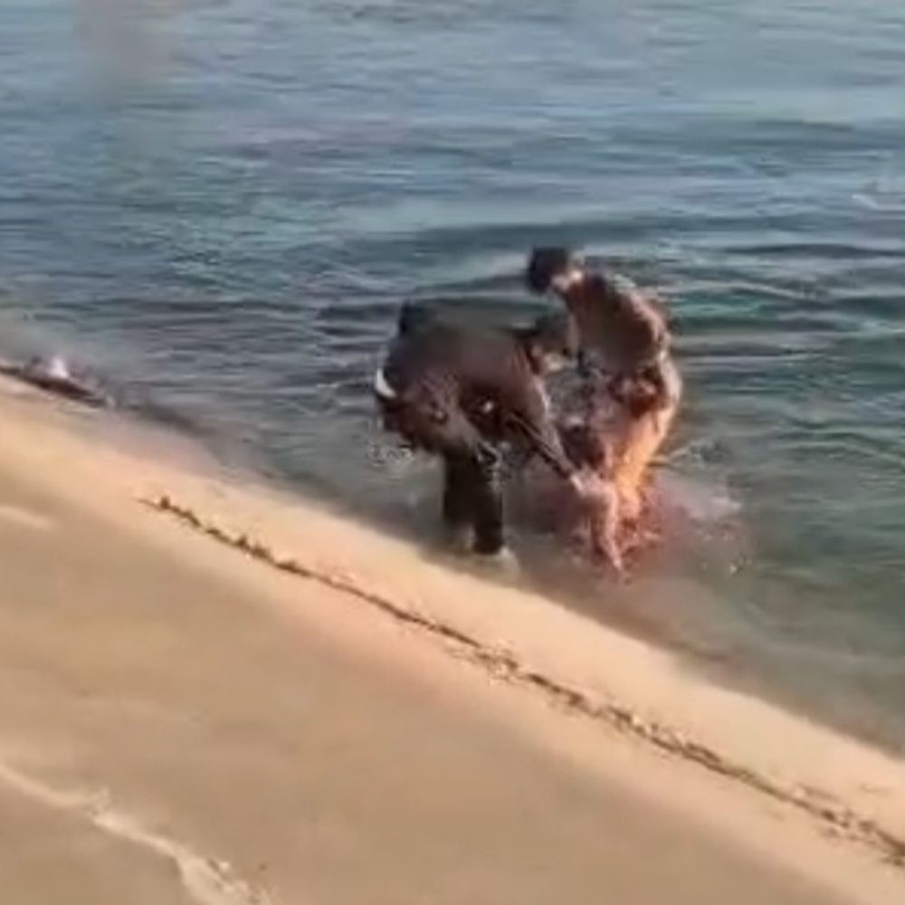 ગાંધીનગર ફાયર બ્રિગેડે સુઘડ કેનાલમાં કૂદેલી મહિલાને બચાવી; ધૂળેટીએ નવજીવન આપ્યું.