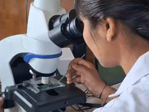 ગિરનારના જંગલમાં મહિલા સંશોધકોનું સાહસ: ભાગ્યશ્રીનું વનસ્પતિ સંશોધન અને સખીની લુપ્ત થતી વન્ય પ્રજાતિઓ પરની સાહસિક સફર.