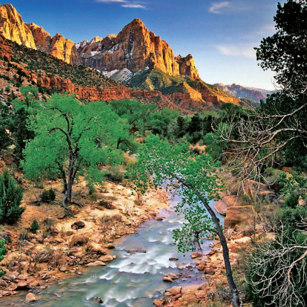 ટ્રમ્પ ઈફેક્ટથી સ્ટુડન્ટ વિઝાની શક્યતાઓ: ઈમિગ્રેશન અંગે માર્ગદર્શન.