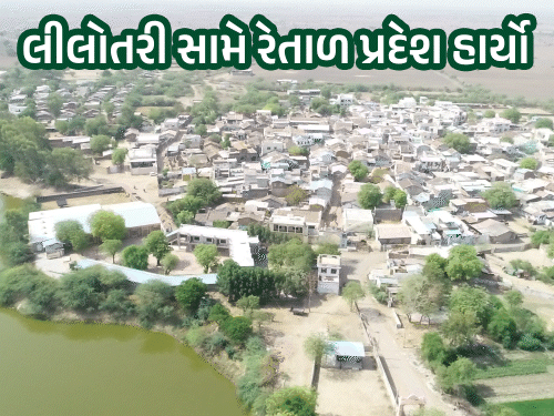 સુરેન્દ્રનગરનું હરિયાળું ગામ: વસ્તીથી ત્રણ ગણા વૃક્ષો, તાપમાનમાં ઘટાડો. રણ નજીક હોવા છતાં માલણપુરની હરિયાળી આશાનું કિરણ છે.