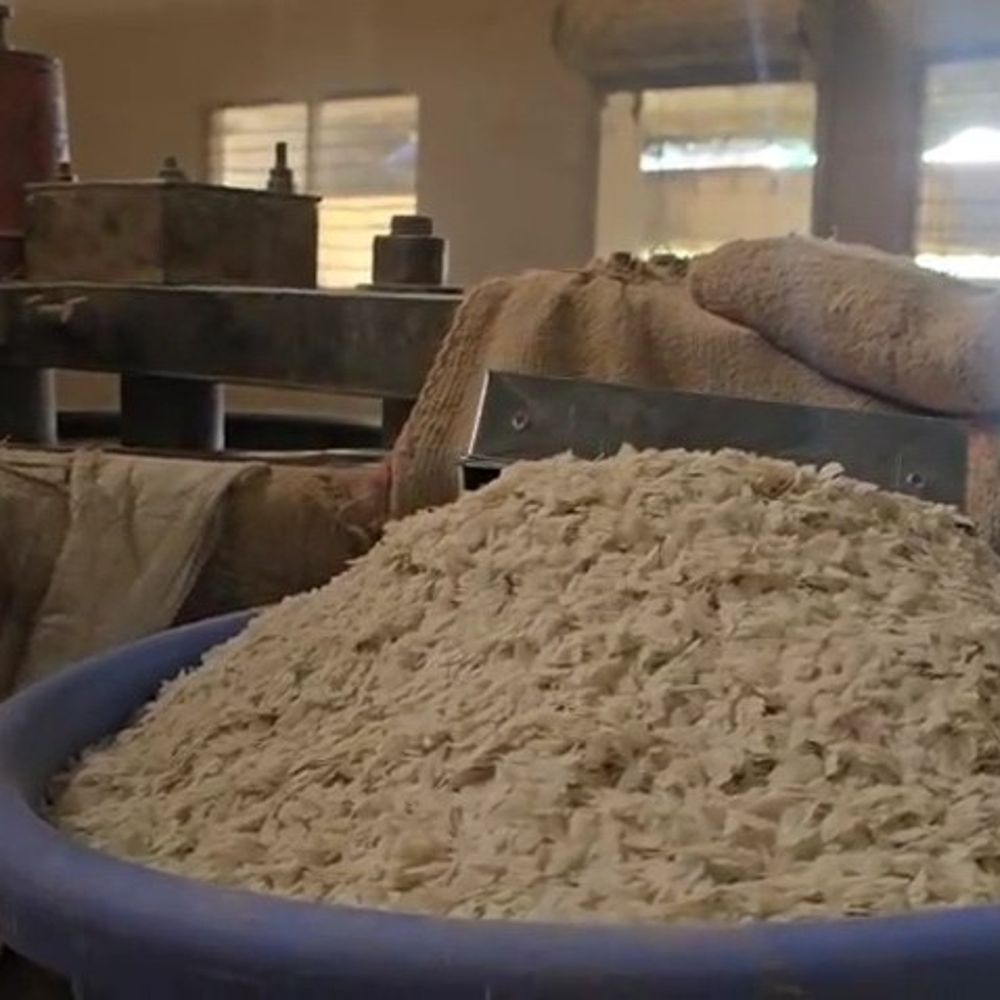 નવસારીના પૌવા ઉદ્યોગ પર ઇઝરાયેલ-ઈરાન યુદ્ધની અસર: નિકાસમાં ઘટાડો અને વેચાણના પ્રયત્નો.