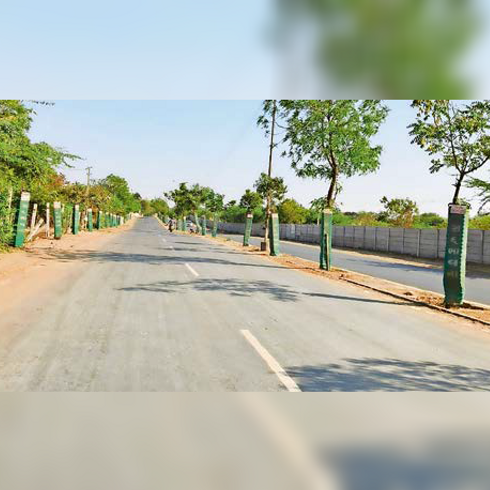 માર્ચમાં 'હીટવેવ': કચ્છમાં તાપમાન 40 ડિગ્રીને પાર, લોકો પરસેવે રેબઝેબ.