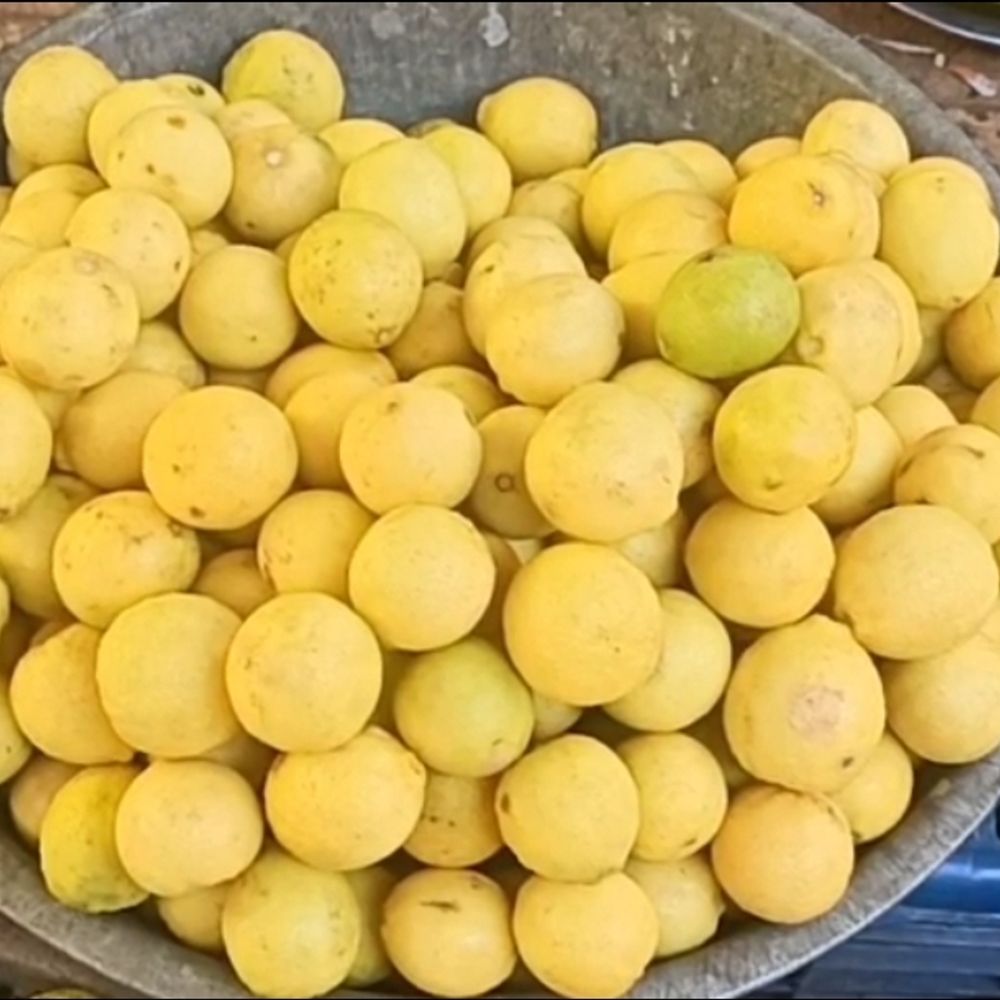 સિઝનલ:પોરબંદરમાં લીંબુની આવક ઘટી, ભાવમાં ધરખમ વધારો, રૂ.180 પ્રતિકિલોનું વેચાણ