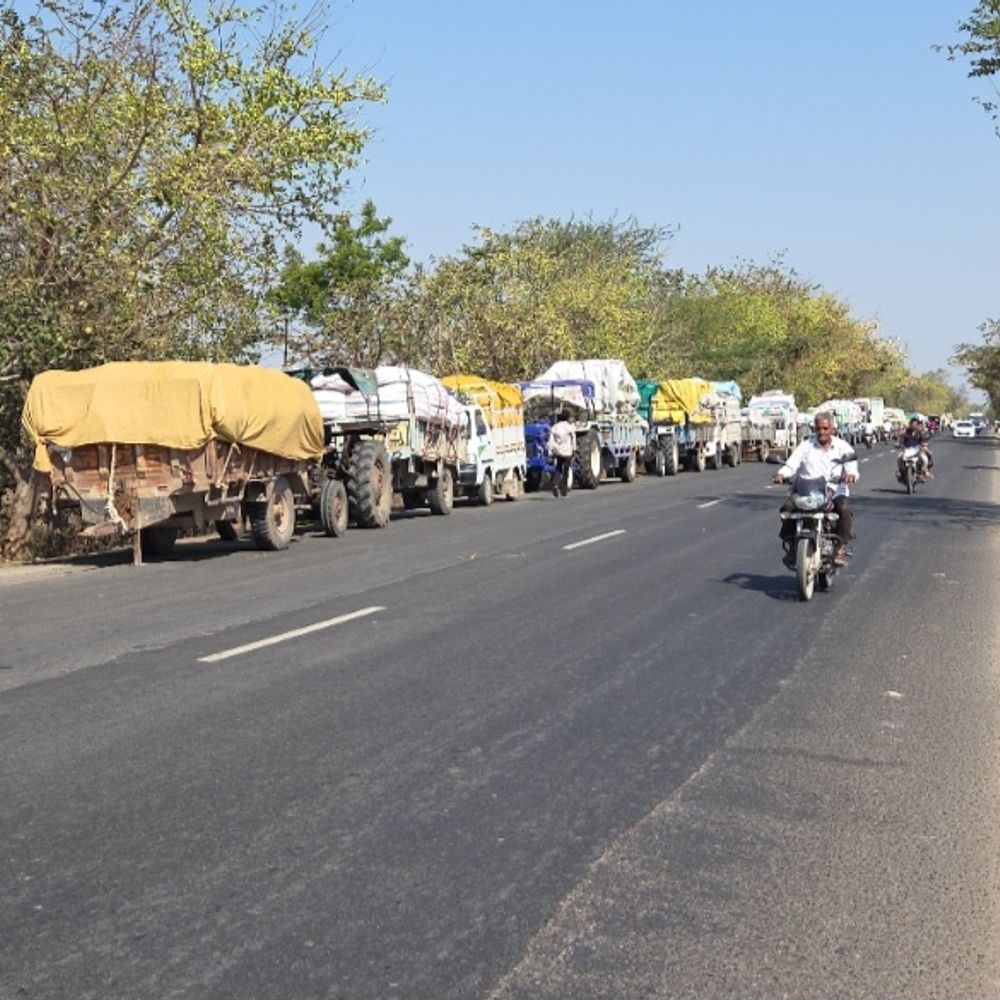 ભાસ્કર એક્સક્લુઝિવ:અમરેલી યાર્ડમાં ધાણીની મબલખ આવક હાઇવે પર 3 કિમી લાંબી વાહનોની કતાર