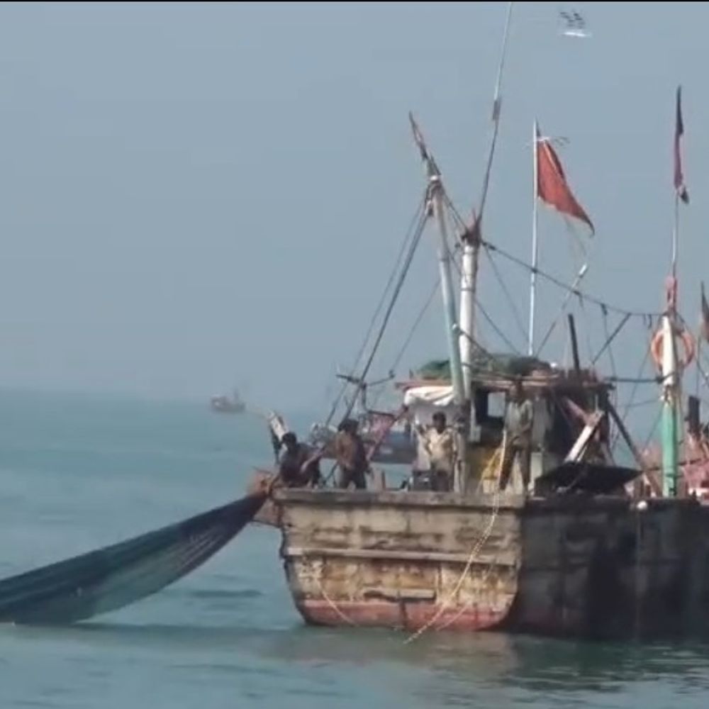 ખાડી તણાવથી ગુજરાતની સીફુડ નિકાસ પર અસર:કન્ટેનર ભાડા વધ્યા, નિકાસ અટકી, કોલ્ડ સ્ટોરેજ ભરાવાની ભીતિ